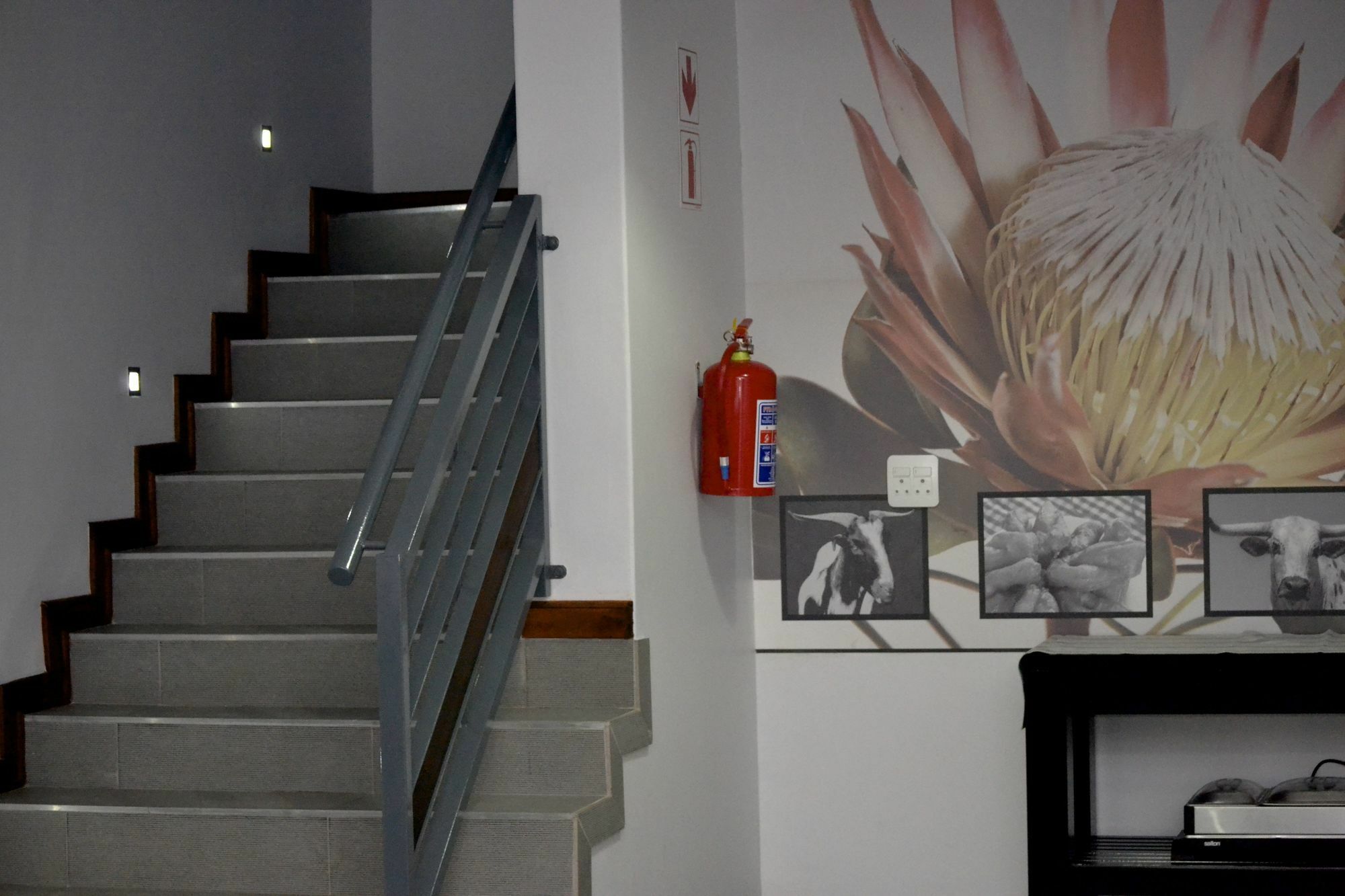 Yalla Yalla Boutique Hotel Witbank Exteriör bild